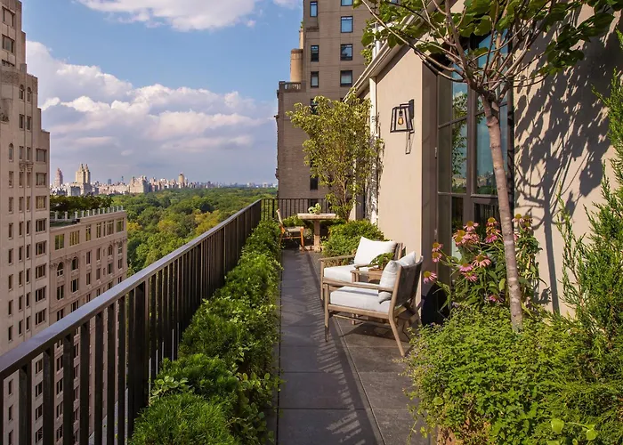 1 Hotel Central Park New York