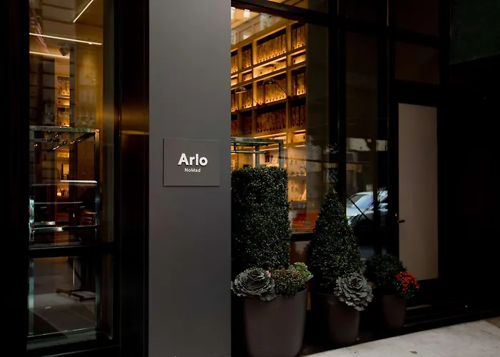 Arlo Nomad